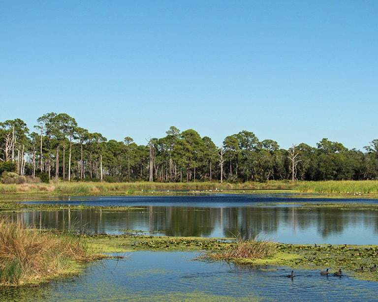 A Visitor's View of Wakulla County