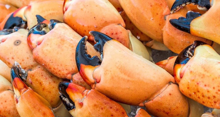 Celebrate Incredible Gulf Seafood at the 2017 St. Marks Stone Crab Festival