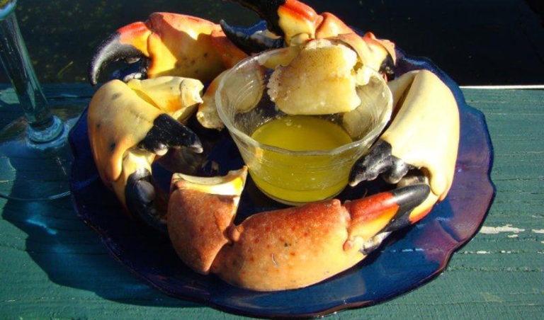 Celebrate Incredible Gulf Seafood At The St. Marks Stone Crab Festival 2016